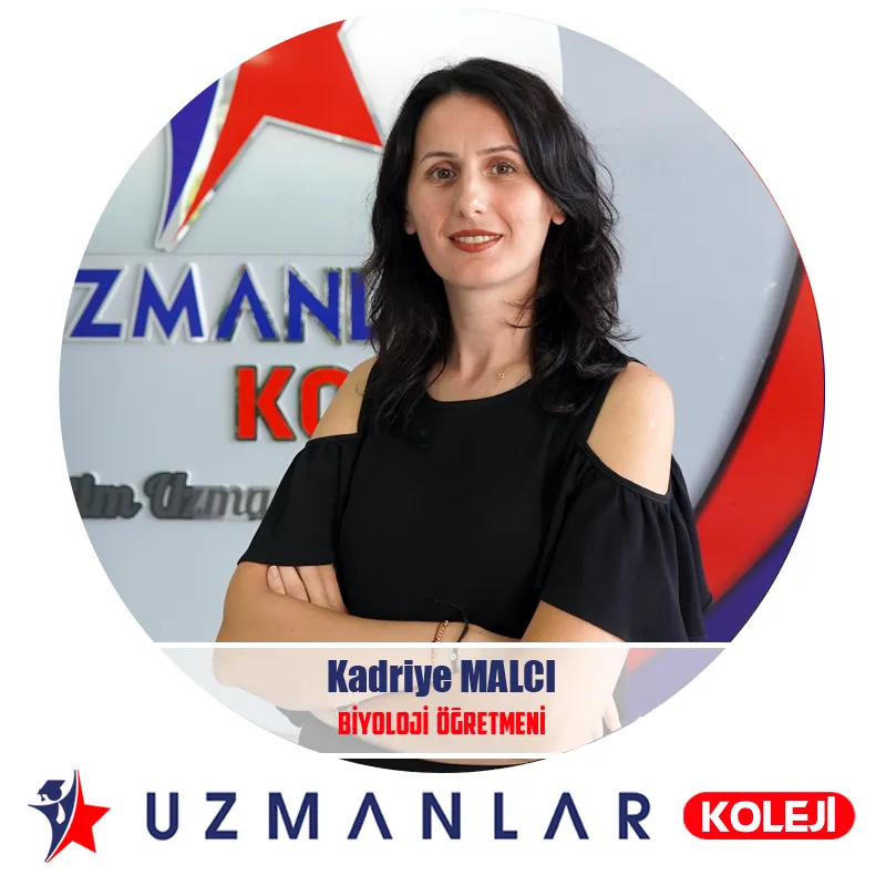 Kadriye MALCI