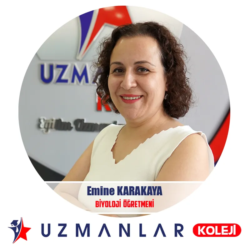 Emine KARAKAYA