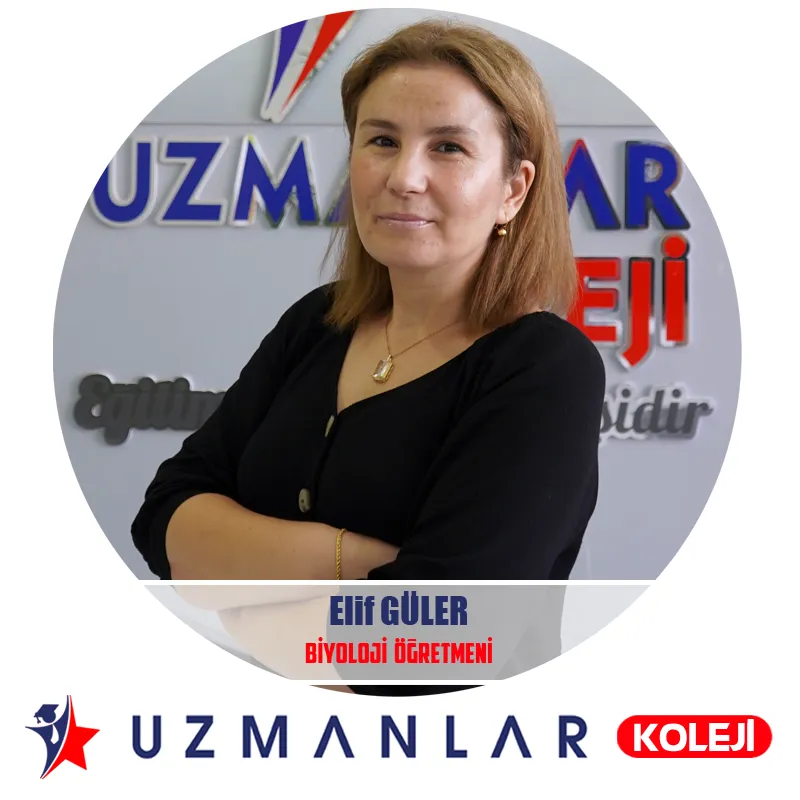 Elif GÜLER
